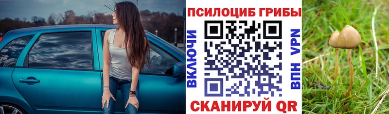 Галлюциногенные грибы Magic Shrooms  Чердынь 